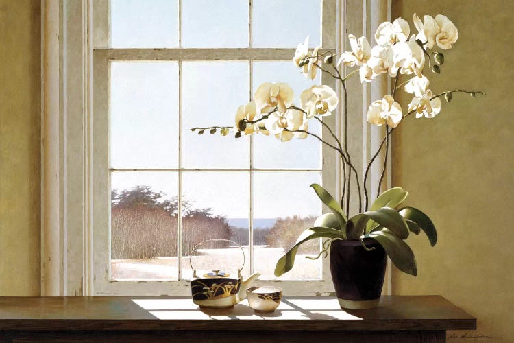 Orchids In The Window II