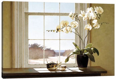 Orchids In The Window II Canvas Art Print - Zhen-Huan Lu