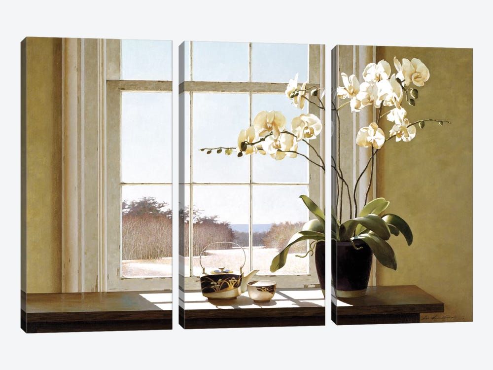 Orchids In The Window II by Zhen-Huan Lu 3-piece Canvas Artwork