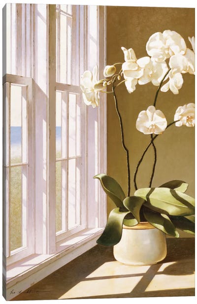 Pot Of Orchids Canvas Art Print - Orchid Art