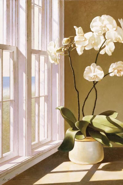 Zhen-Huan Lu: Pot Of Orchids by Zhen-Huan Lu
