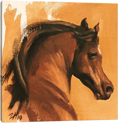 Equine Head Arab Chestnut Canvas Art Print - Zil Hoque