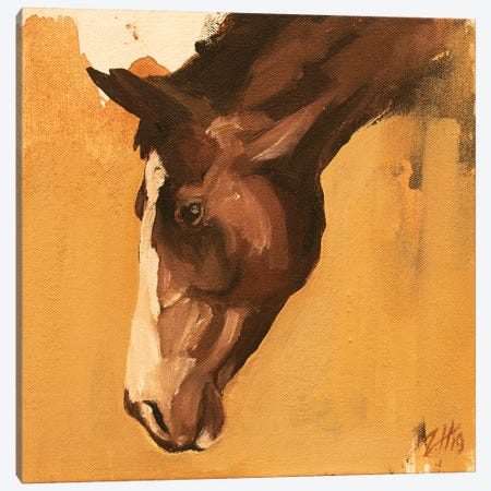 Family Equine Canvas Print #ZHO106} by Zil Hoque Art Print