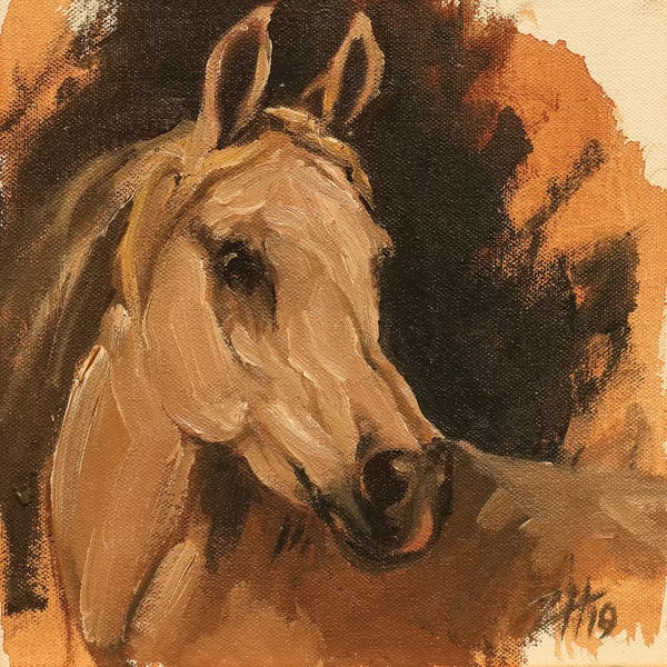Equine Head Arab White