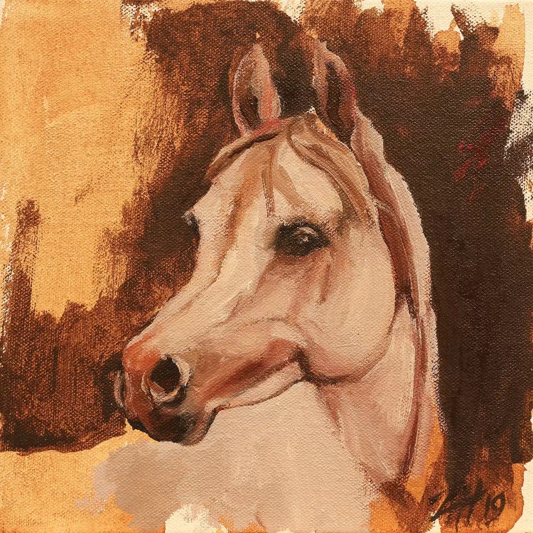 Equine Head Arab White