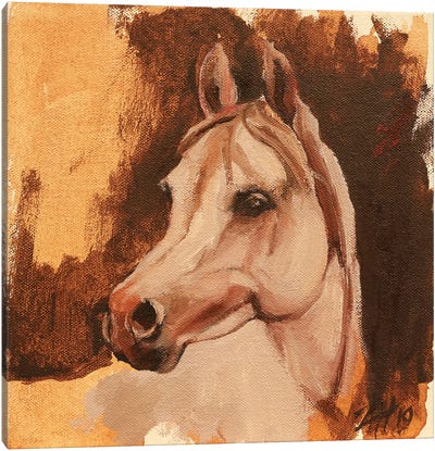 Equine Head Arab White Canvas Art Print - Zil Hoque