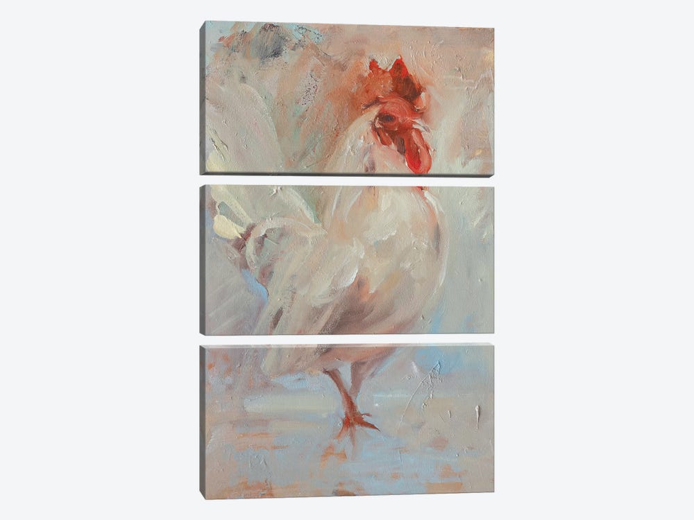 Gallo  by Zil Hoque 3-piece Canvas Wall Art