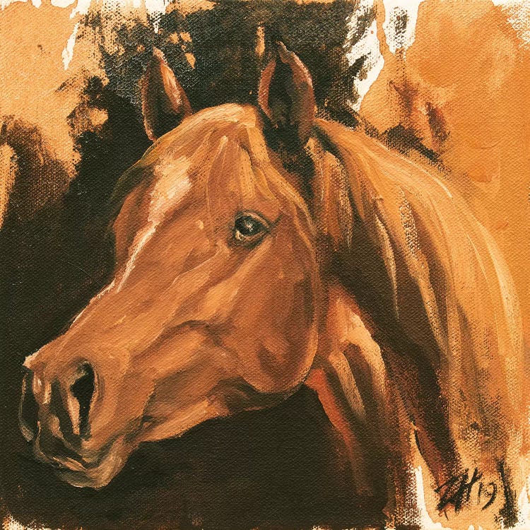 Equine Head Arab Chestnut (study 47) 2019