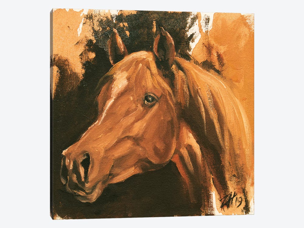Equine Head Arab Chestnut (study 47) 2019 by Zil Hoque 1-piece Canvas Print