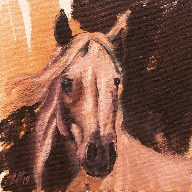 Equine Head Arab White (Study 3) 2019