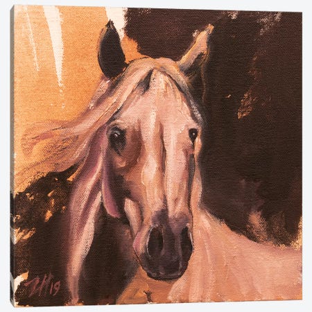 Equine Head Arab White (Study 3) 2019 Canvas Print #ZHO111} by Zil Hoque Canvas Print