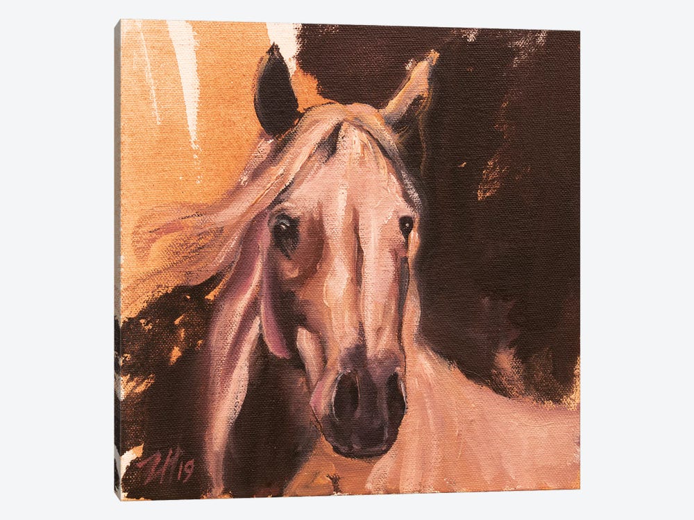Equine Head Arab White (Study 3) 2019 by Zil Hoque 1-piece Canvas Artwork