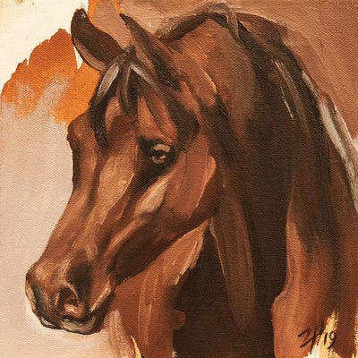 Equine Head Arab Chestnut (study 14) 2019 by Zil Hoque art print