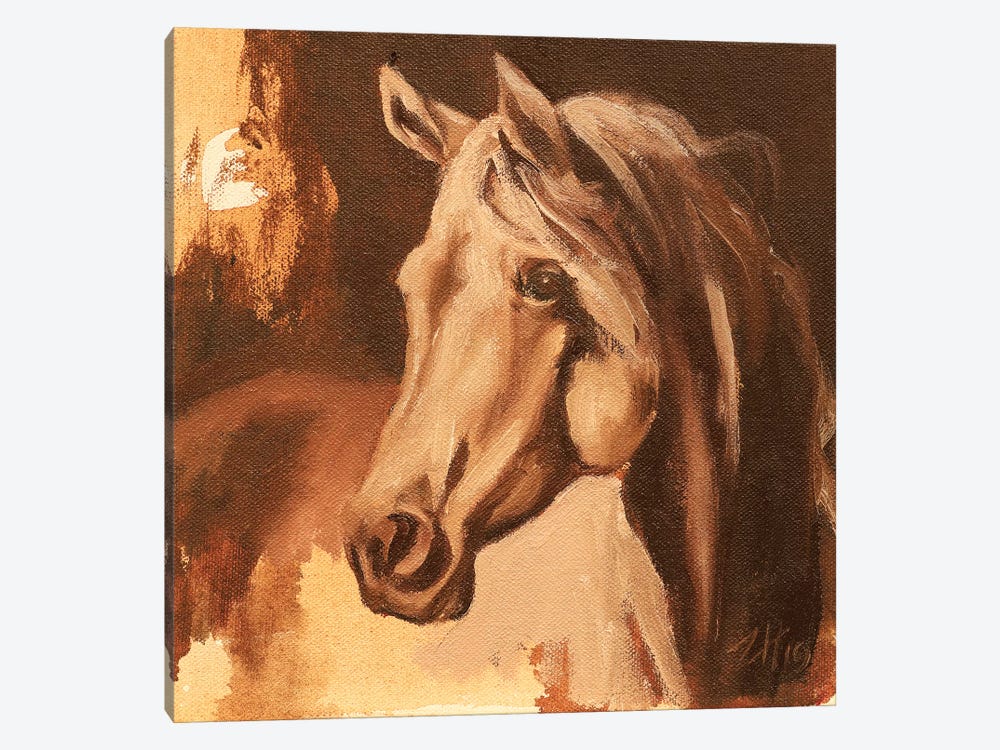 Equine Head Arab White (study 26) 2019 by Zil Hoque 1-piece Canvas Artwork