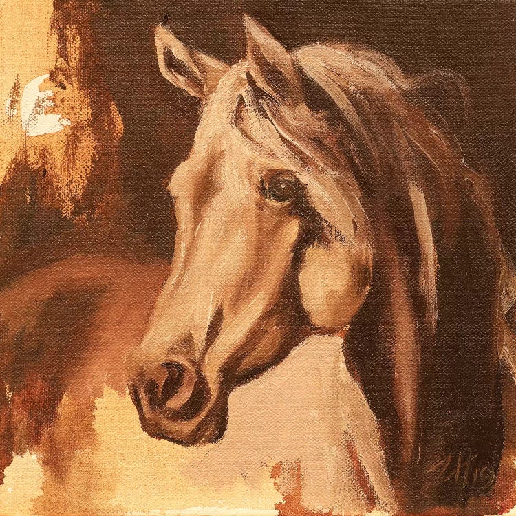 Equine Head Arab White (study 26) 2019