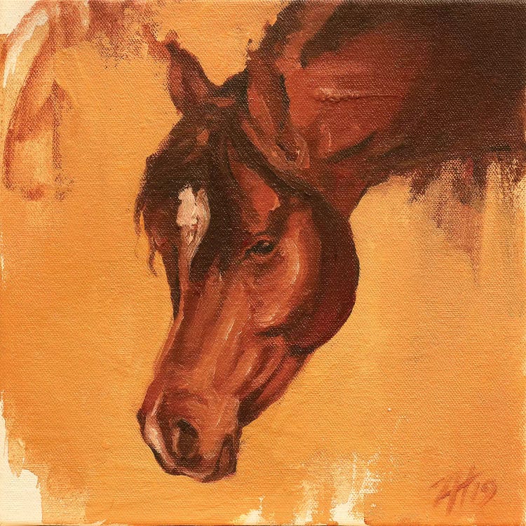 Equine Head Arab Chestnut (study 14A) 2019