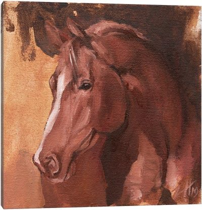 Equine Head Arab Chestnut (study 31) Canvas Art Print - Zil Hoque