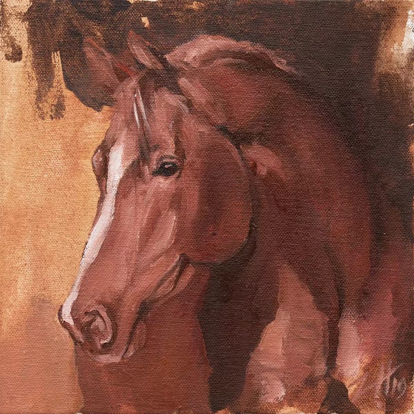 Zil Hoque: Equine Head Arab Chestnut (study 31) by Zil Hoque