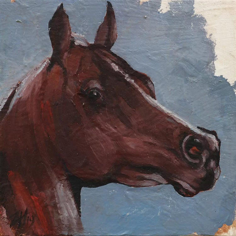 Equine Head Arab Chestnut (study 90)