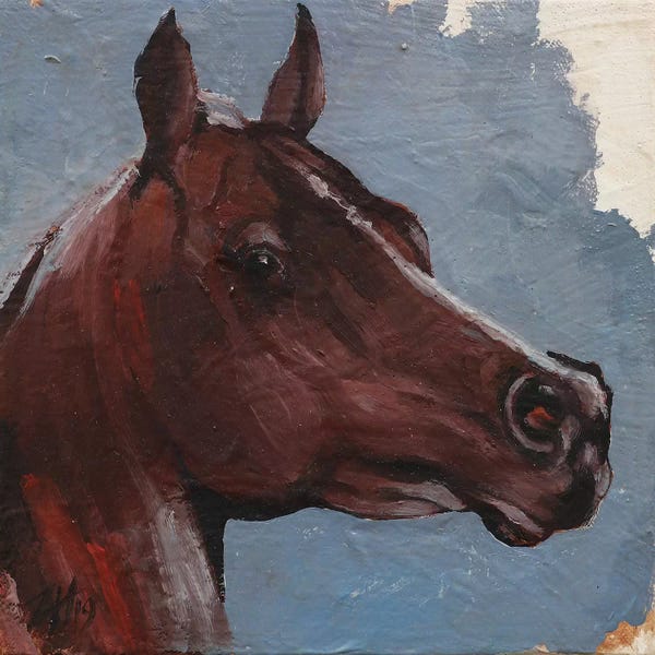 Zil Hoque: Equine Head Arab Chestnut (study 90) by Zil Hoque