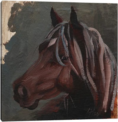 Equine Head Arab Chestnut (study 185) Canvas Art Print - Zil Hoque