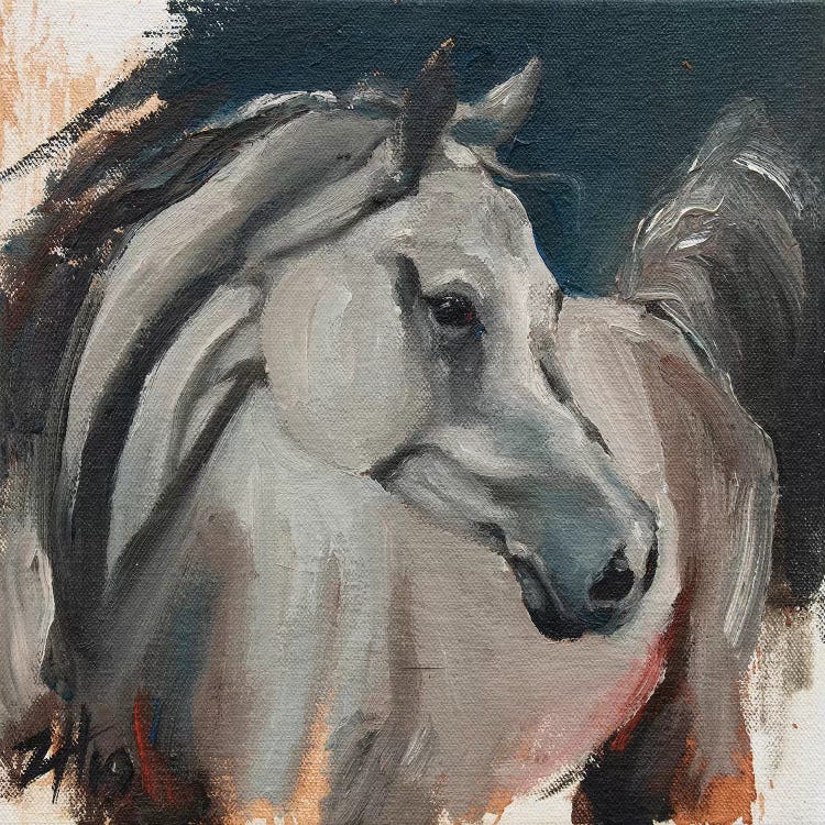 Equine Head Arab White (study 1)