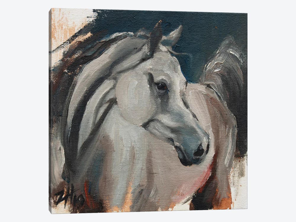 Equine Head Arab White (study 1) by Zil Hoque 1-piece Canvas Artwork