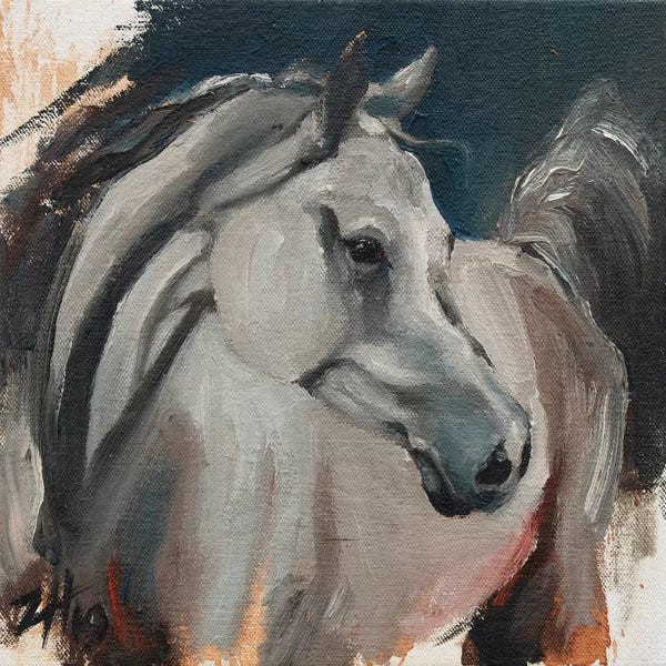 Zil Hoque: Equine Head Arab White (study 1) by Zil Hoque