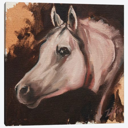 equine Head Arab White (study 11) Canvas Print #ZHO121} by Zil Hoque Canvas Wall Art