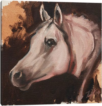 equine Head Arab White (study 11) Canvas Art Print - Zil Hoque