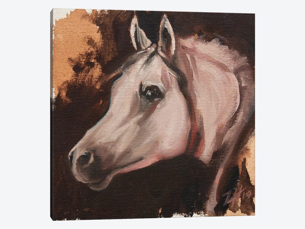 equine Head Arab White (study 11) by Zil Hoque 1-piece Canvas Art Print