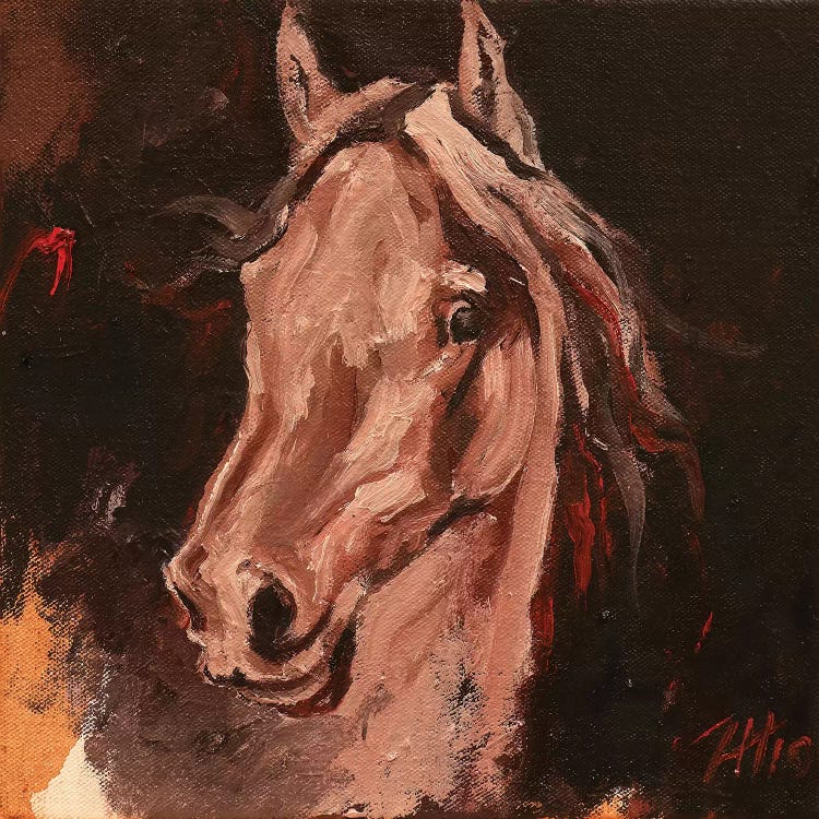 Equine Head Arab White (study 19)