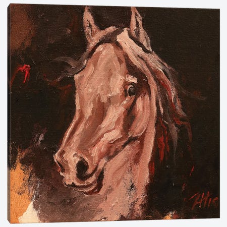 Equine Head Arab White (study 19) Canvas Print #ZHO122} by Zil Hoque Canvas Artwork