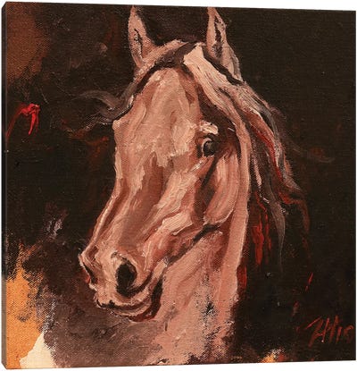 Equine Head Arab White (study 19) Canvas Art Print - Zil Hoque
