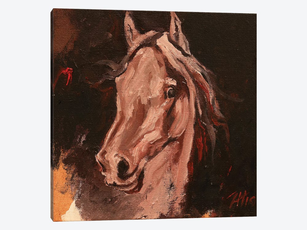 Equine Head Arab White (study 19) by Zil Hoque 1-piece Canvas Art