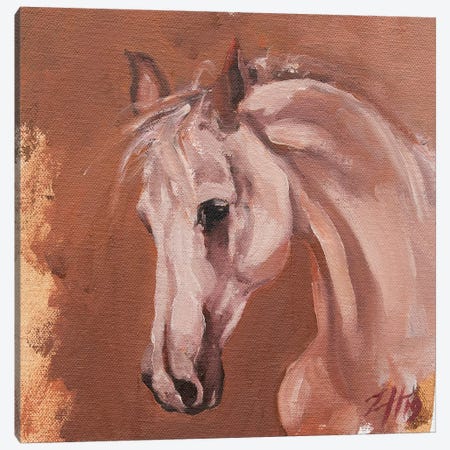 Equine Head Arab White (study 27) Canvas Print #ZHO123} by Zil Hoque Canvas Artwork
