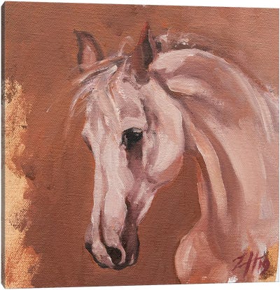 Equine Head Arab White (study 27) Canvas Art Print - Zil Hoque