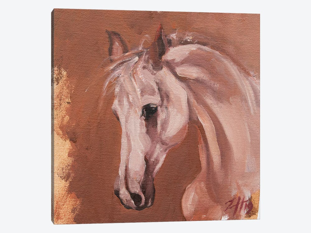 Equine Head Arab White (study 27) by Zil Hoque 1-piece Canvas Art Print