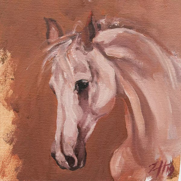 Zil Hoque: Equine Head Arab White (study 27) by Zil Hoque