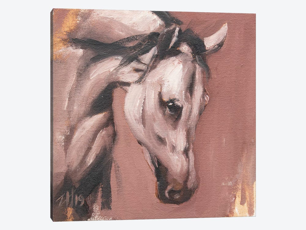 Equine Head Arab White (study 28) by Zil Hoque 1-piece Canvas Artwork