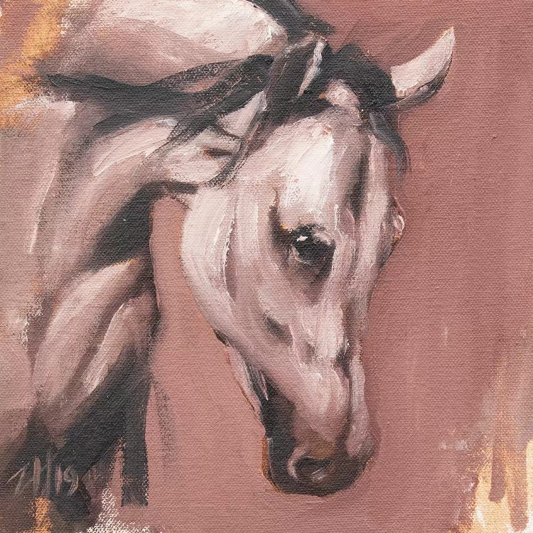 Equine Head Arab White (study 28)