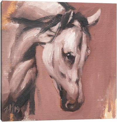 Equine Head Arab White (study 28) Canvas Art Print - Zil Hoque