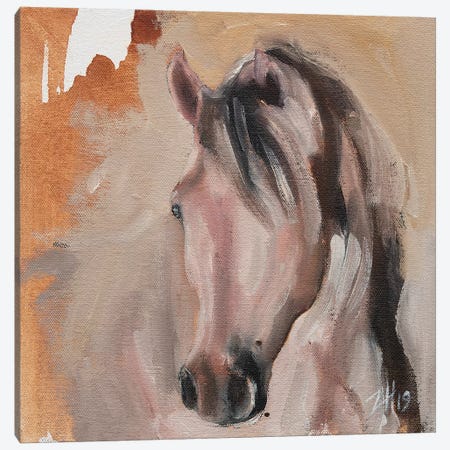 Equine Head Arab White (study 30) Canvas Print #ZHO125} by Zil Hoque Canvas Art Print