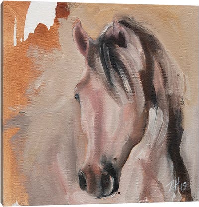 Equine Head Arab White (study 30) Canvas Art Print - Zil Hoque