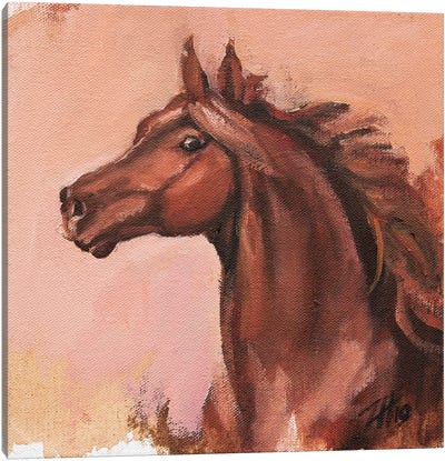 Equine Head Arab Chestnut (study 23) Canvas Art Print - Zil Hoque