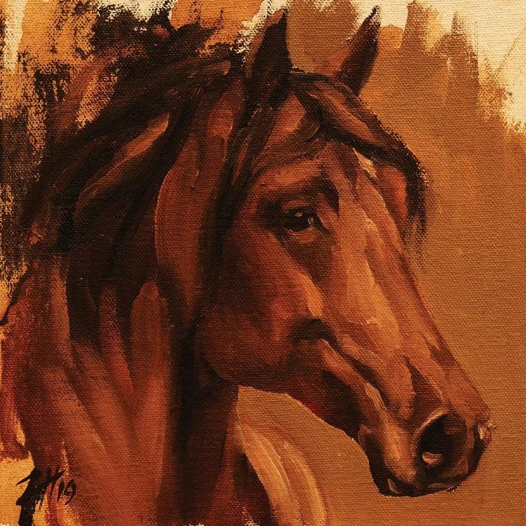 Equine Head Arab Chestnut (study 27)