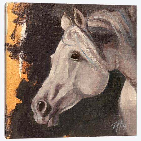 Equine Head Arab White (study 5) Canvas Print #ZHO128} by Zil Hoque Canvas Wall Art