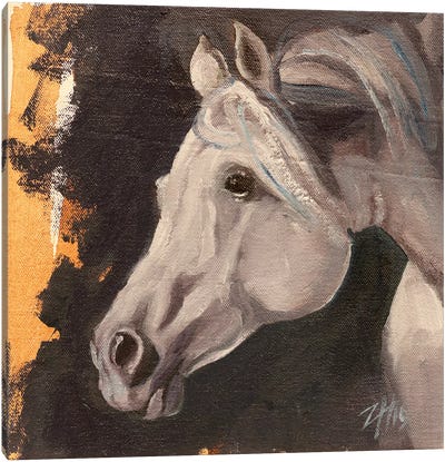 Equine Head Arab White (study 5) Canvas Art Print - Zil Hoque