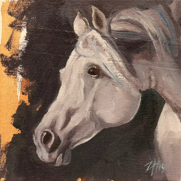 Zil Hoque: Equine Head Arab White (study 5) by Zil Hoque