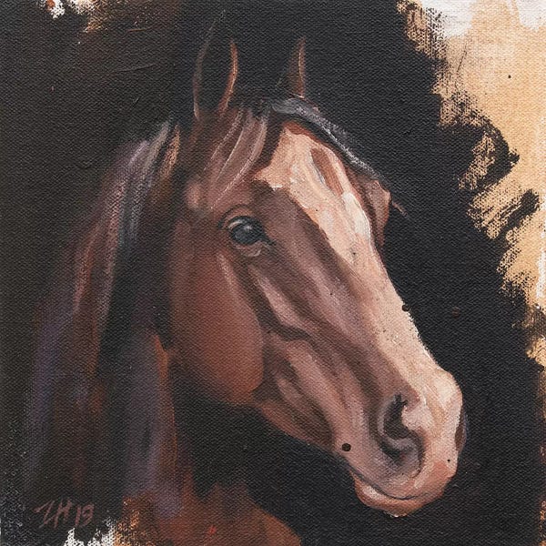 Zil Hoque: Family Equidae (study 2) by Zil Hoque